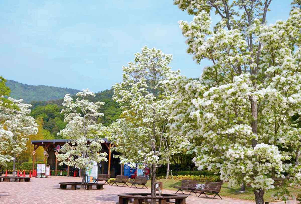 20210408おでかけマンスリー徳島30