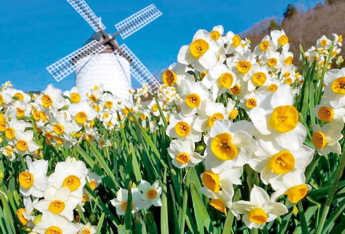 20210408おでかけマンスリー徳島31