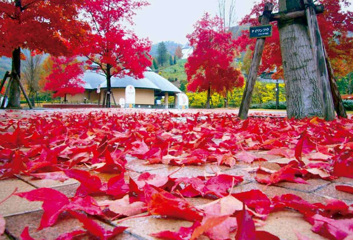 20210408おでかけマンスリー徳島33