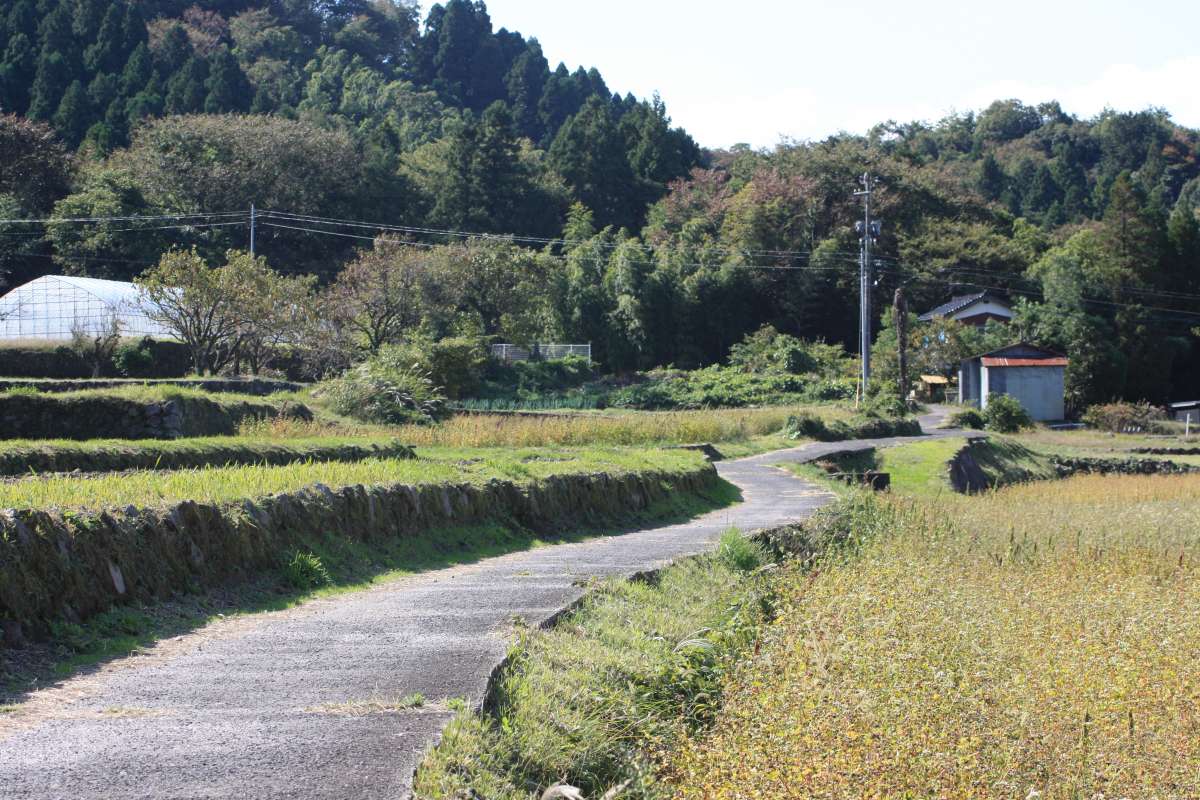 島根県大田市_サイクリング_レンタル_三瓶山_E-BIKE