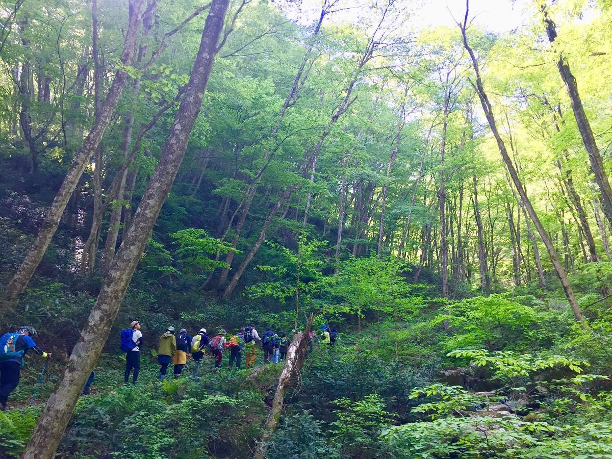 島根県飯南町の大万木山トレッキングツアーイベントの様子