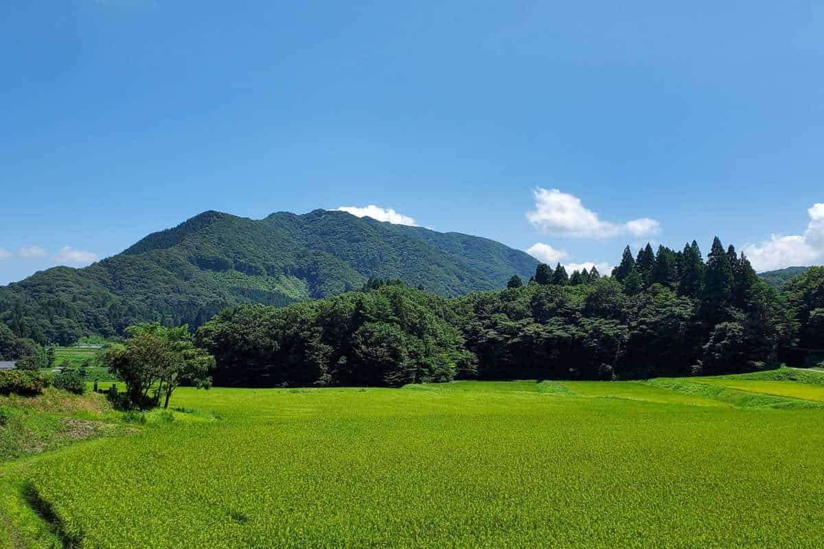 島根県飯南町の「沖の郷山ふれあいハイキング」イベントの様子