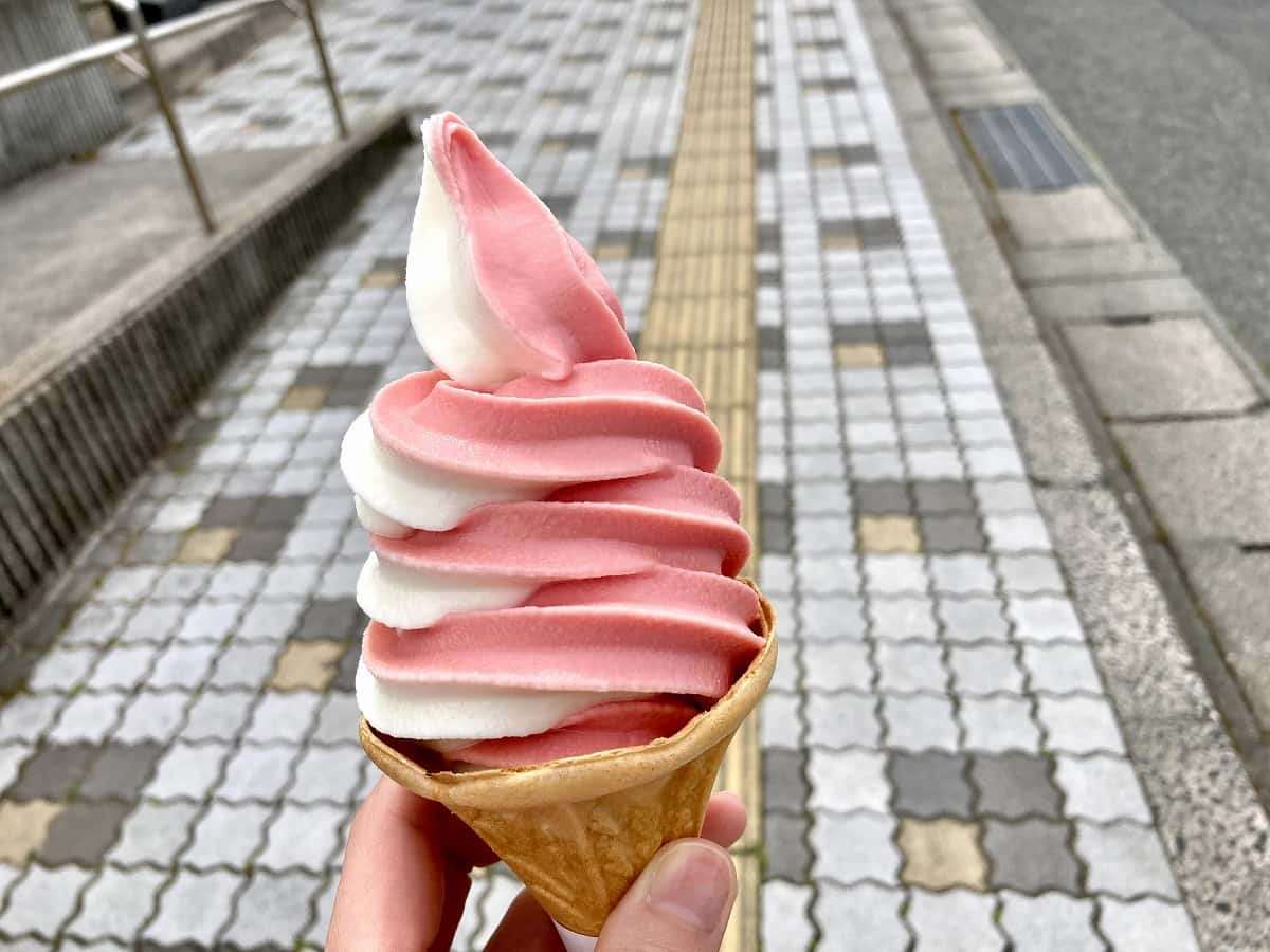 お台場公園_北栄町_道の駅大栄_ご当地アイス_子連れ_家族_お出かけ_コナン_青山剛昌ふるさと館