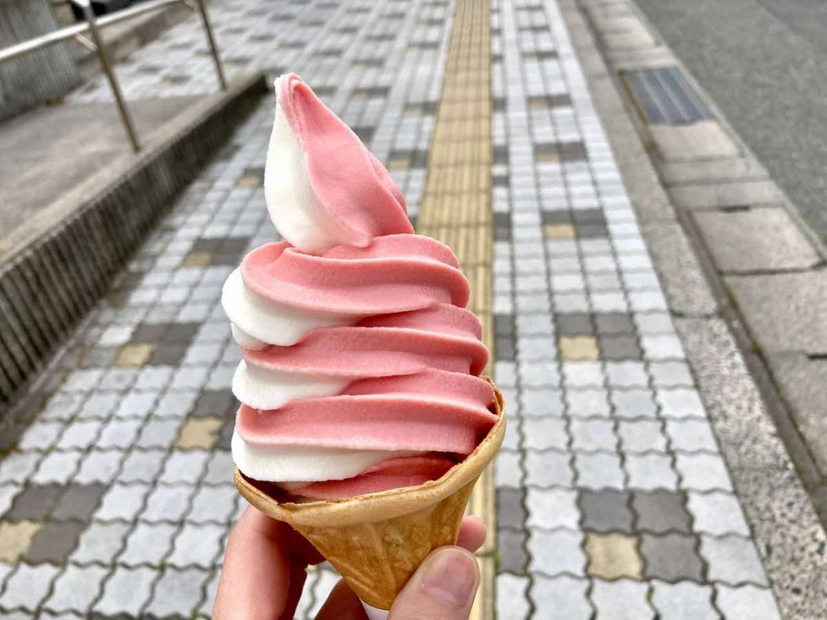 道の駅大栄_北栄町_名探偵コナン_ご当地アイス_大栄スイカ_オススメ_人気_お出かけ_旅行