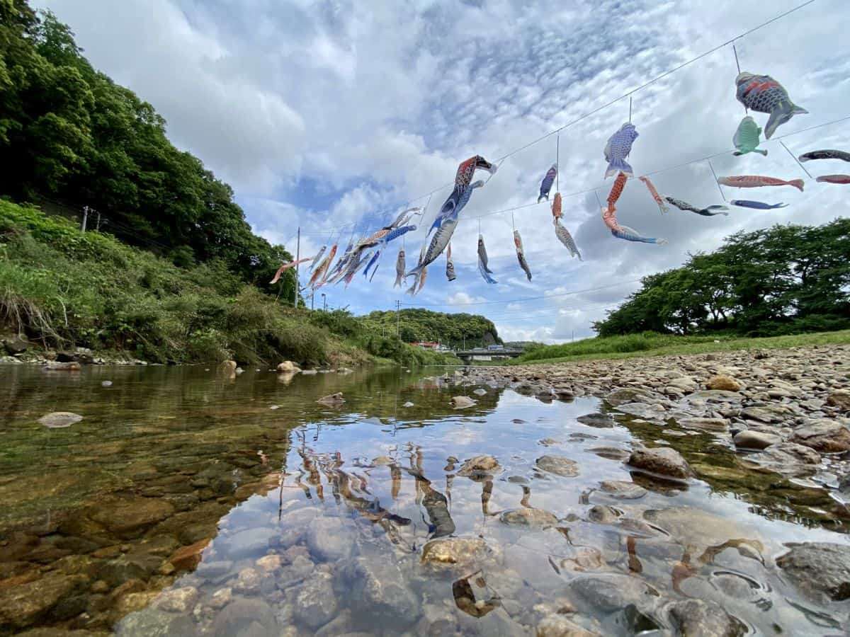 松江市八雲町_ストロベリーキャンドル_お花畑