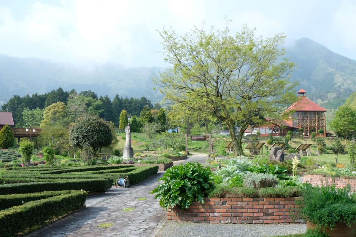 邑南町_ピクニック_公園_香木の森公園