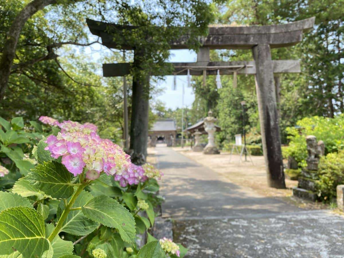 鳥取県米子市_あじさいスポット_大神山神社_見ごろ_駐車場_料金