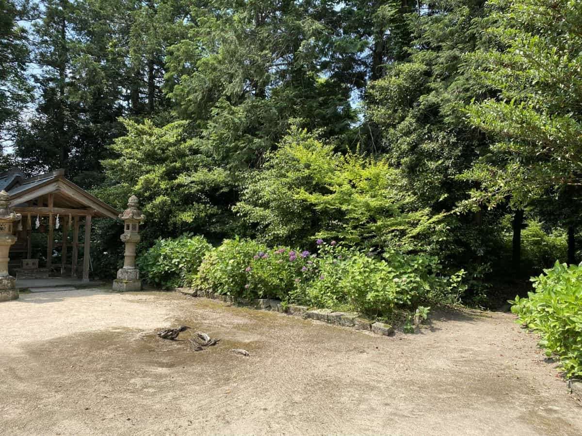 鳥取県米子市_あじさいスポット_大神山神社_見ごろ_駐車場_料金