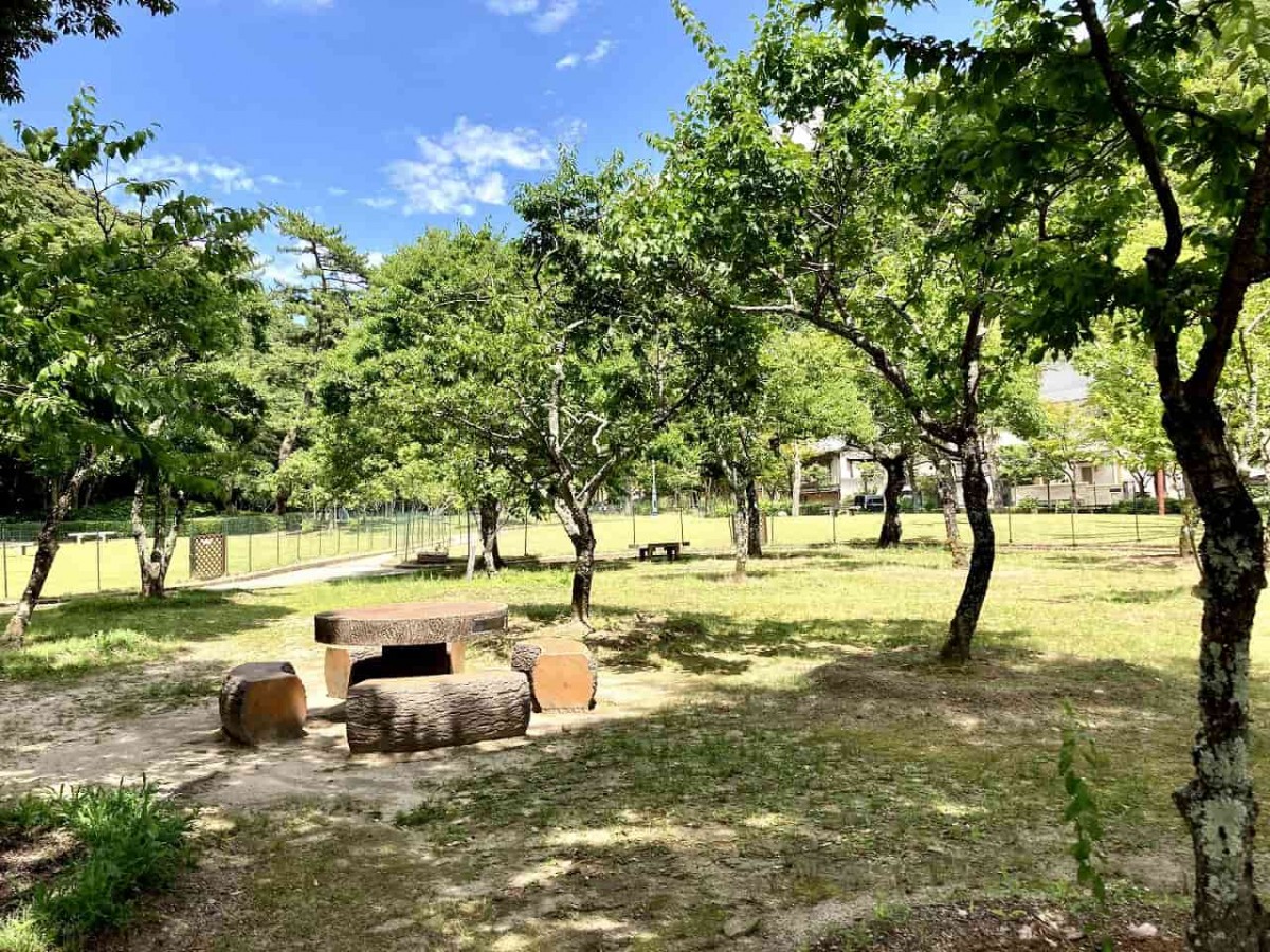 鳥取市_樗谿公園_おうちだに_子連れ_人気_オススメ＿おでかけ_