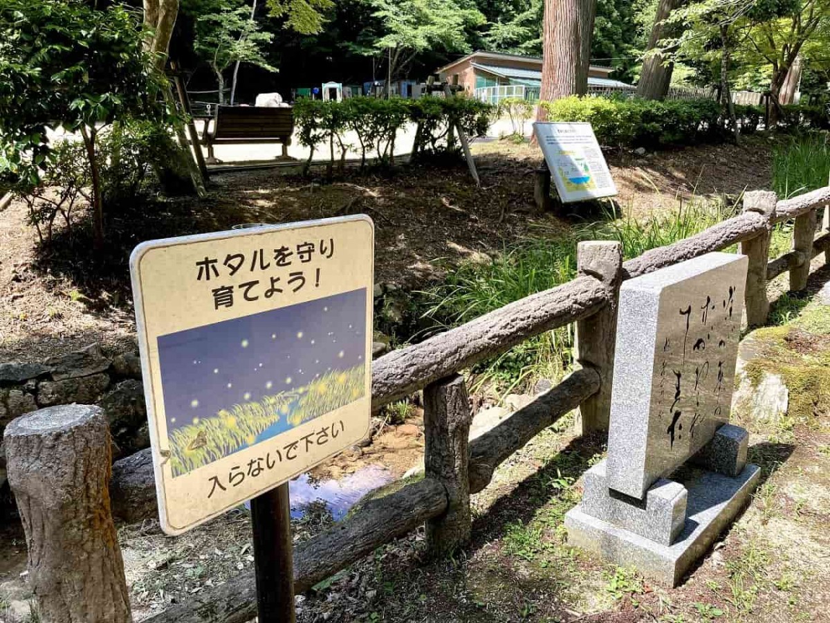 鳥取市_樗谿公園_おうちだに_子連れ_人気_オススメ＿おでかけ_