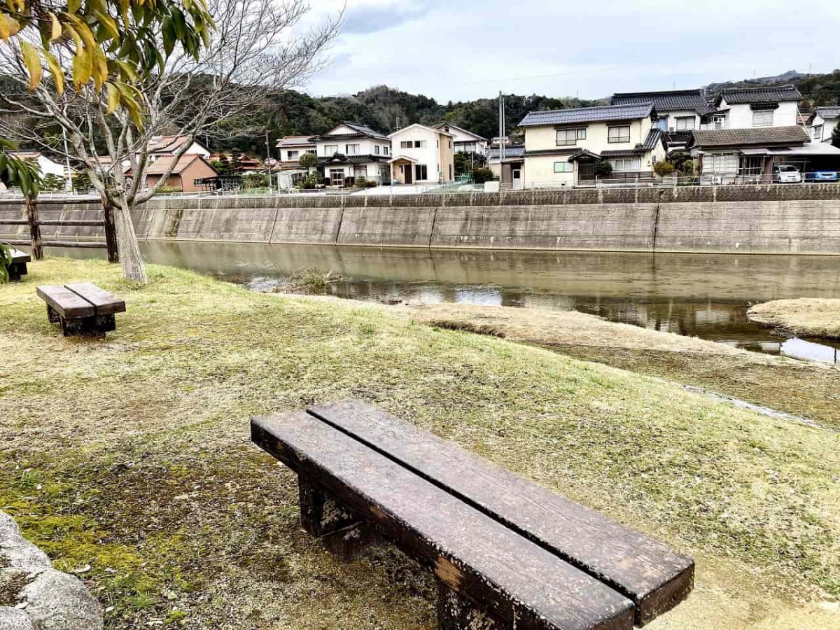 雲南市_大東町_七夕公園_お祭り_オススメ_散歩_川遊び_人気_ホタル