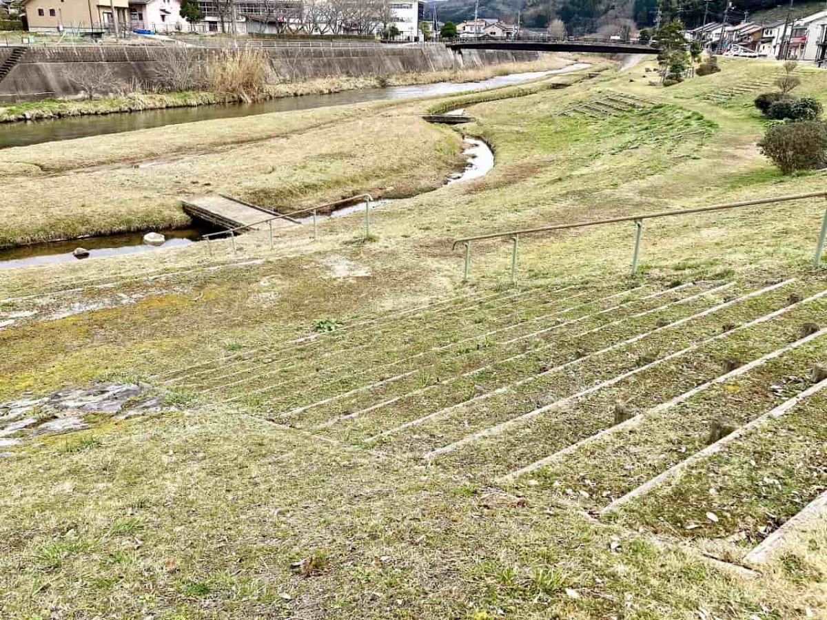 雲南市_大東町_七夕公園_お祭り_オススメ_散歩_川遊び_人気_ホタル