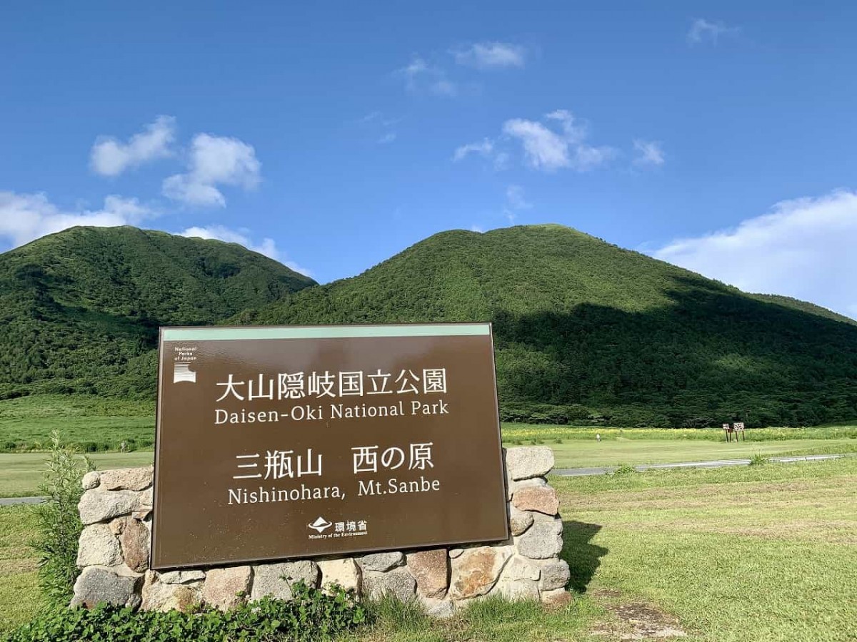 大田市_三瓶山_ユウスゲ_おでかけ_山の駅さんべ_映えスポット_写真_カメラ_夏の花_オススメ