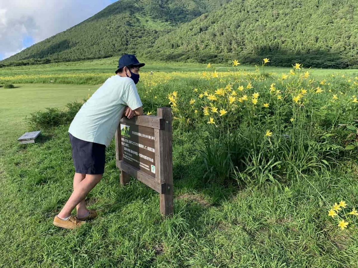 大田市_三瓶山_ユウスゲ_おでかけ_山の駅さんべ_映えスポット_写真_カメラ_夏の花_オススメ