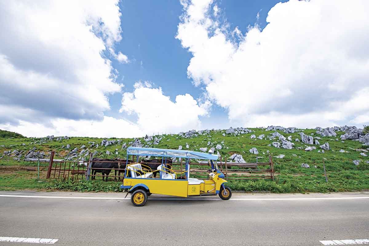 20210719おでかけマンスリー高知07