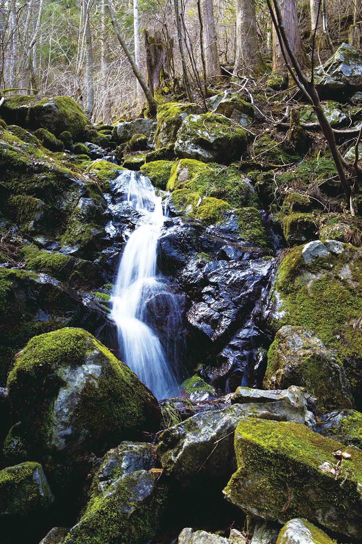 20210719おでかけマンスリー高知11