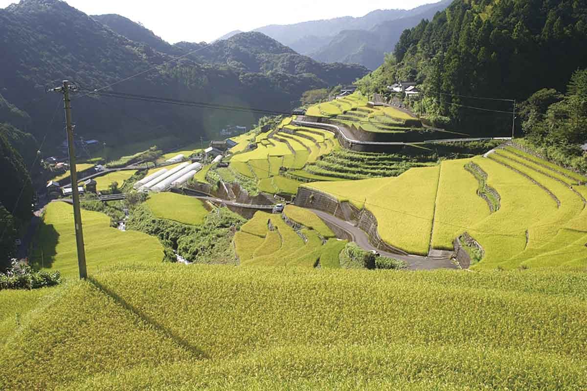 20210719おでかけマンスリー高知17