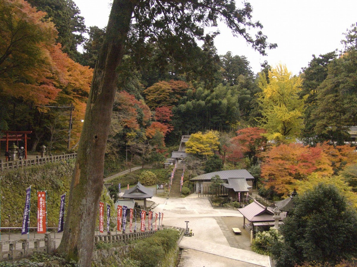 島根県安来市_観光_キャンペーン_割引_安来に泊まってお得に観光～やす得！キャンペーン～