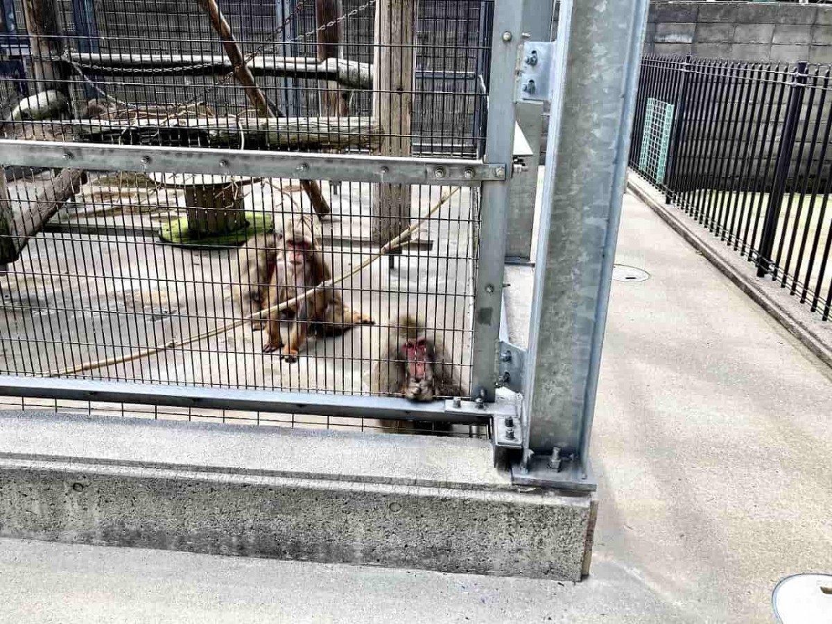 鳥取市_公園_子連れ_オススメ_人気_動物園_真教寺公園_噴水広場_すべり台