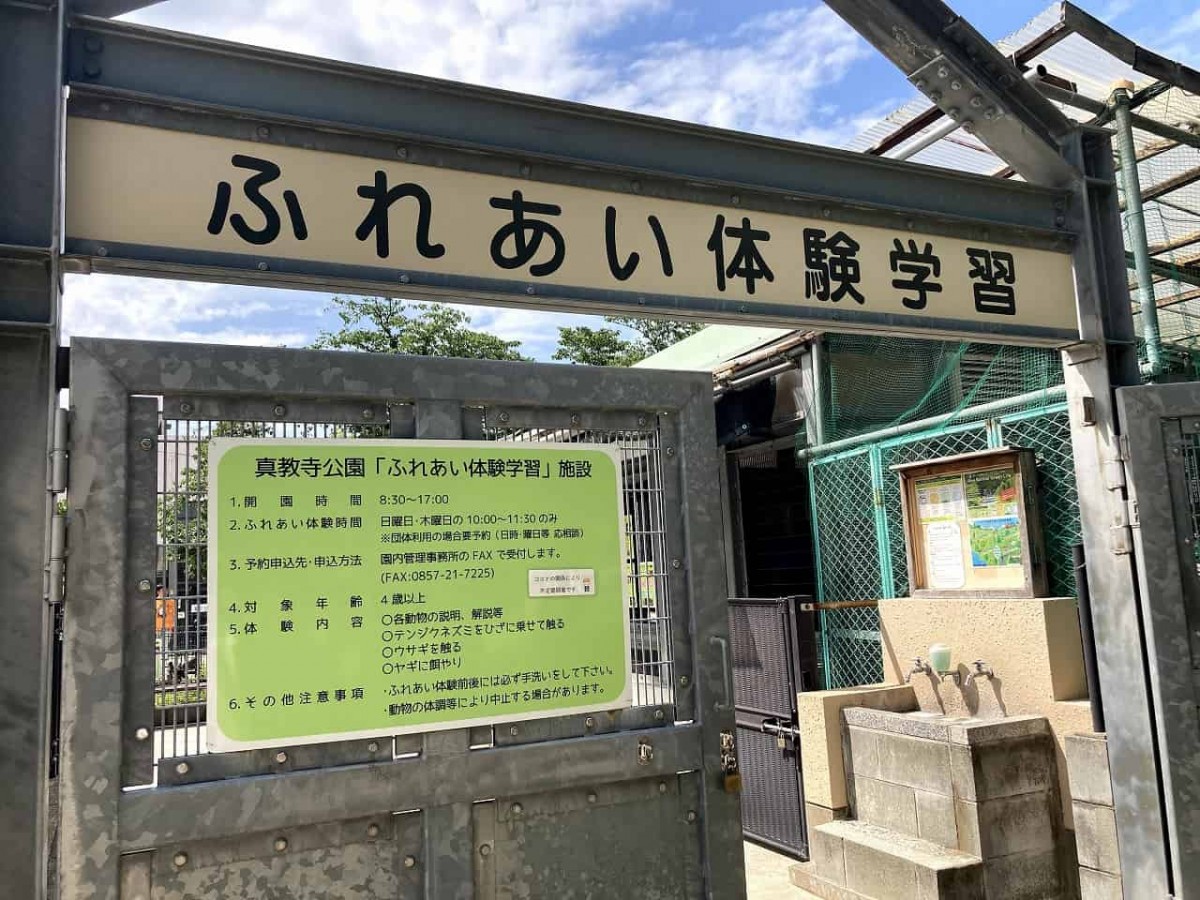 鳥取市_公園_子連れ_オススメ_人気_動物園_真教寺公園_噴水広場_すべり台