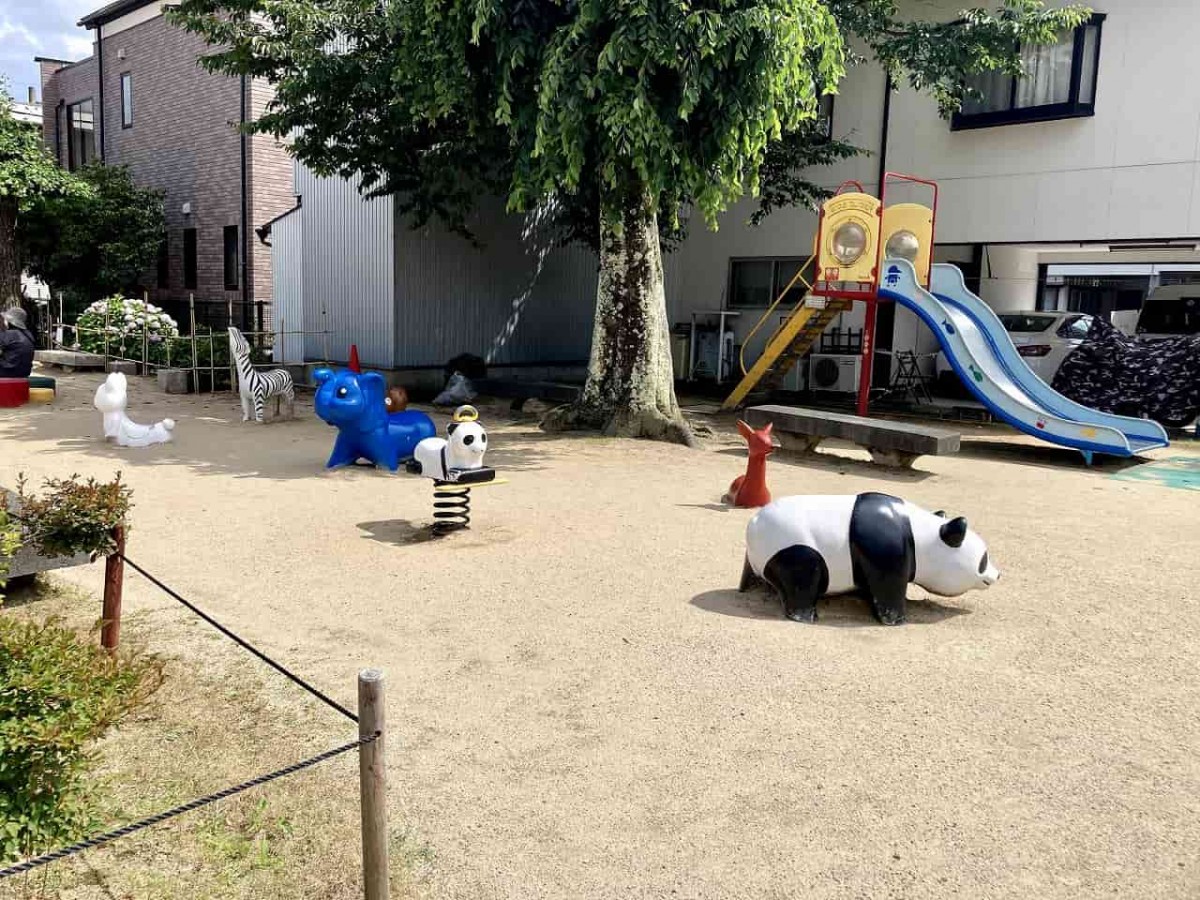 鳥取市_公園_子連れ_オススメ_人気_動物園_真教寺公園_噴水広場_すべり台