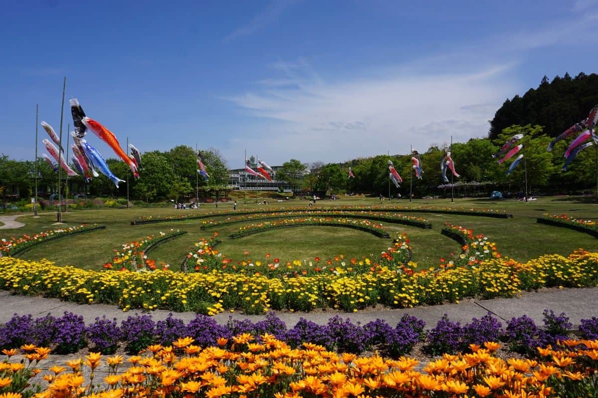 島根県出雲市_観光_しまね花の郷_子ども連れ_おでかけ_ピクニック_公園