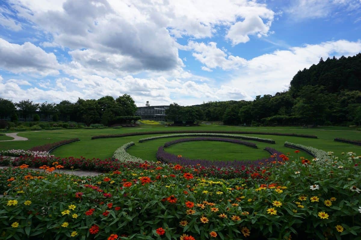 島根県出雲市_観光_しまね花の郷_子ども連れ_おでかけ_ピクニック_公園