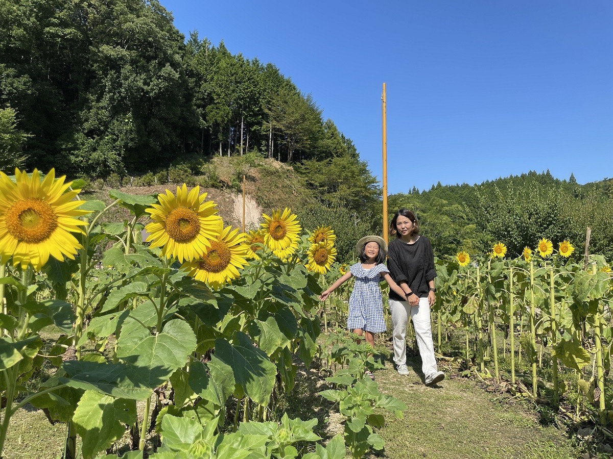 島根県雲南市_ひまわり畑_心の駅陽だまりの丘_子連れ_おでかけ_B級スポット