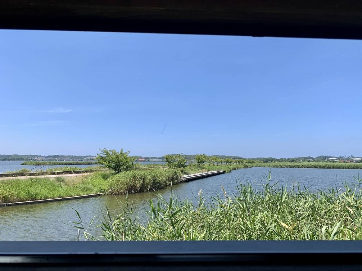 出雲市_神西親水公園_野鳥観察_ジンザイシンスイコウエン_おでかけ_子連れ_オススメ_散歩_ドライブ