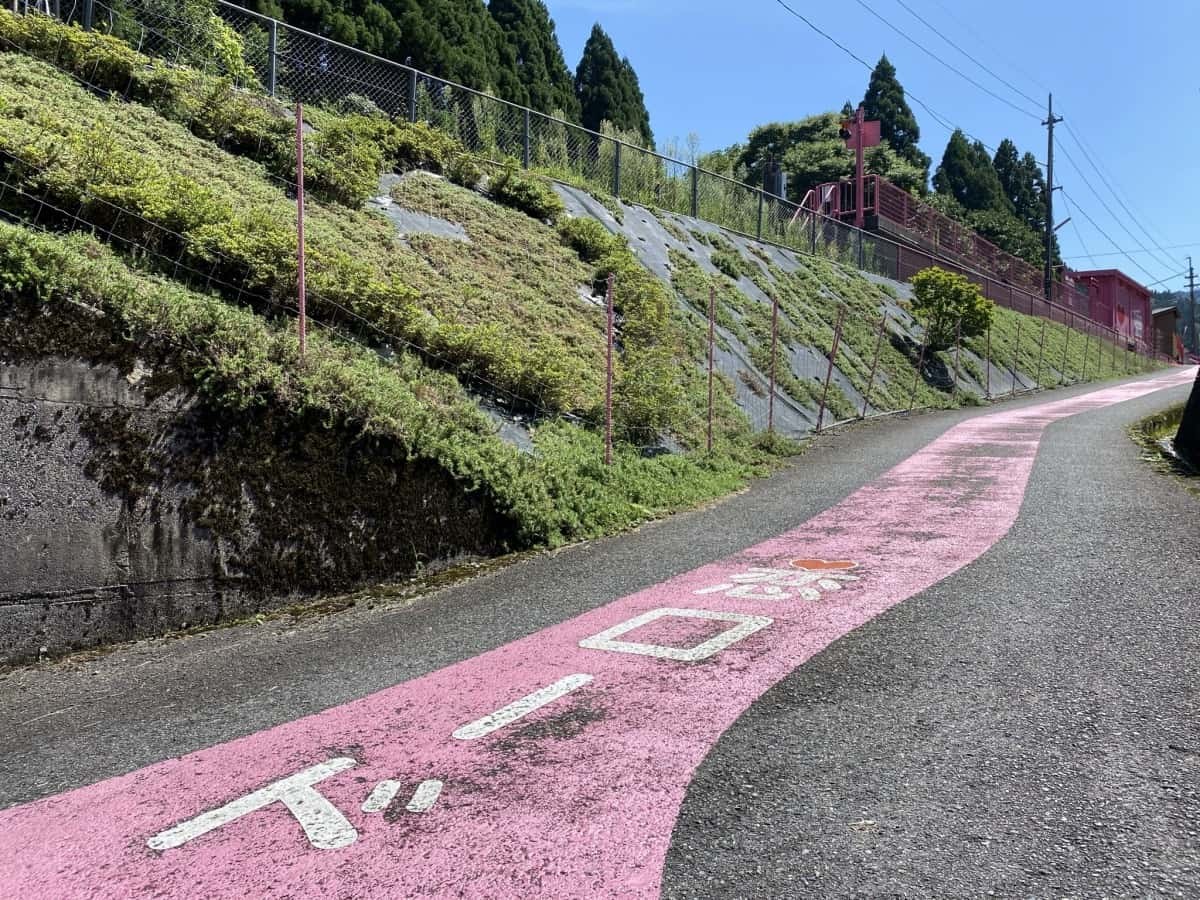 鳥取県智頭町_観光_穴場_おすすめ_恋山形駅_アクセス_場所_写真