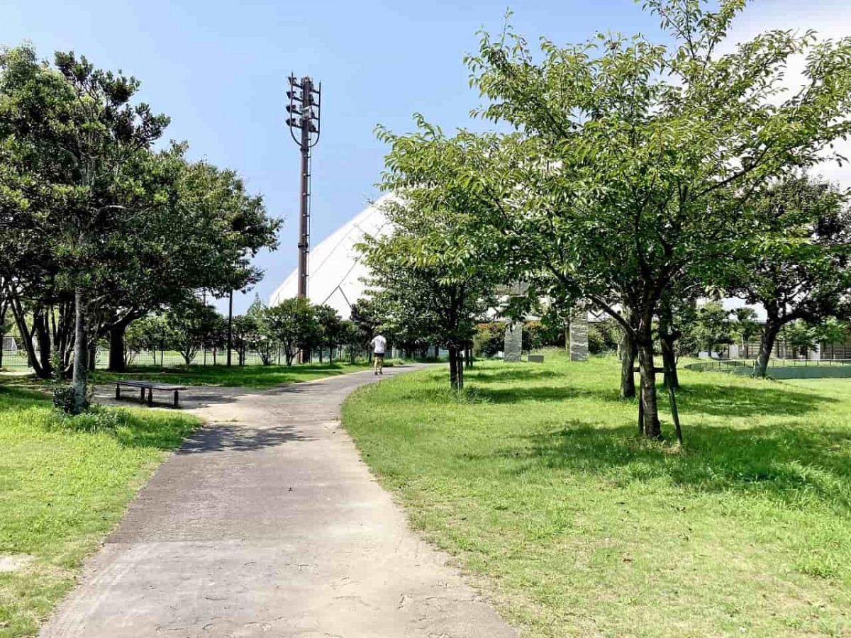 島根県出雲市_出雲ドーム_出雲健康公園_子連れ_オススメ_スポーツ