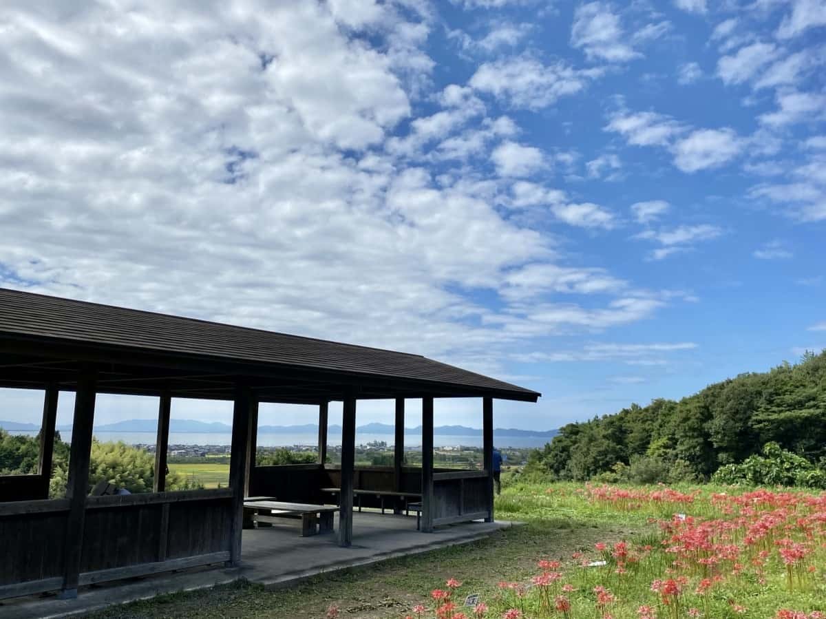 鳥取県米子市_彼岸花_名所_上淀廃寺_アクセス_見ごろ_時期_料金_駐車場