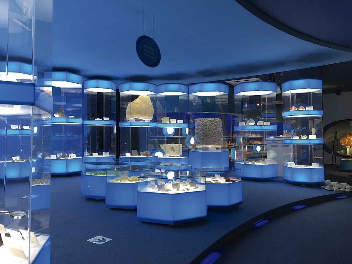 20210928おでかけマンスリー島根23_多根自然博物館1