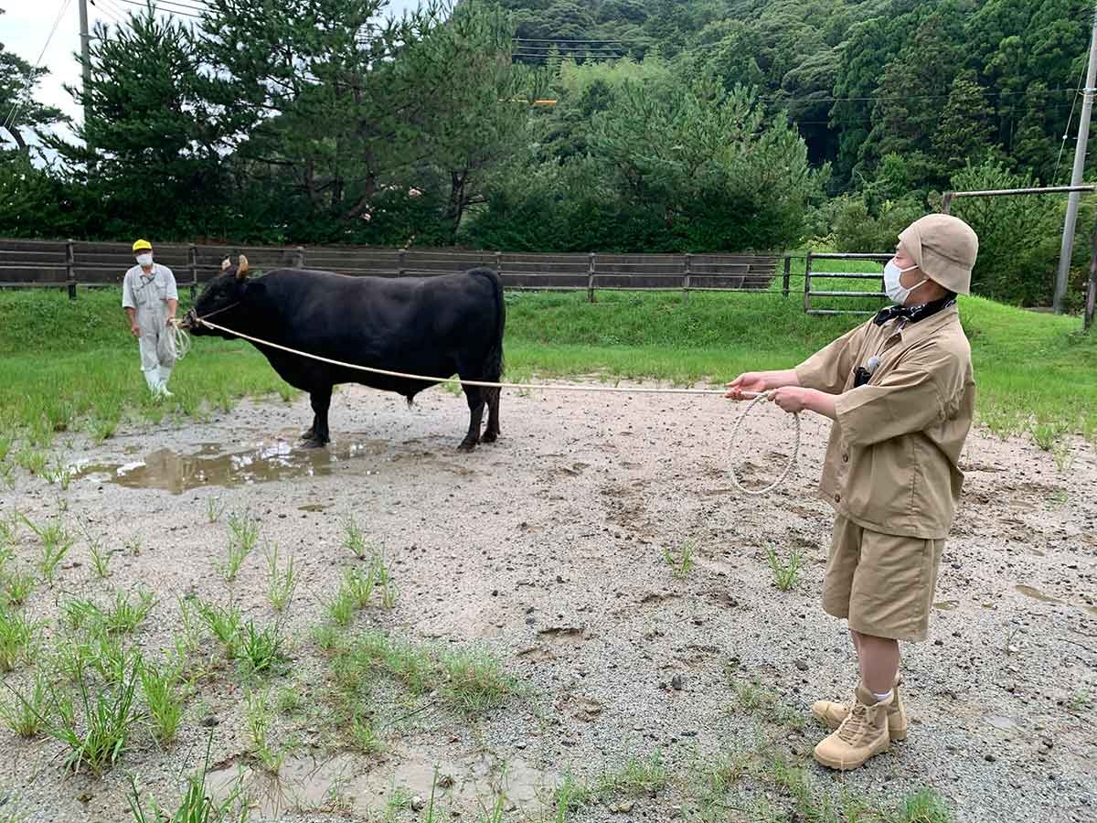 BSS山陰放送_ネルソンズがゆく！山陰A級地球レジャー_特番_見どころ