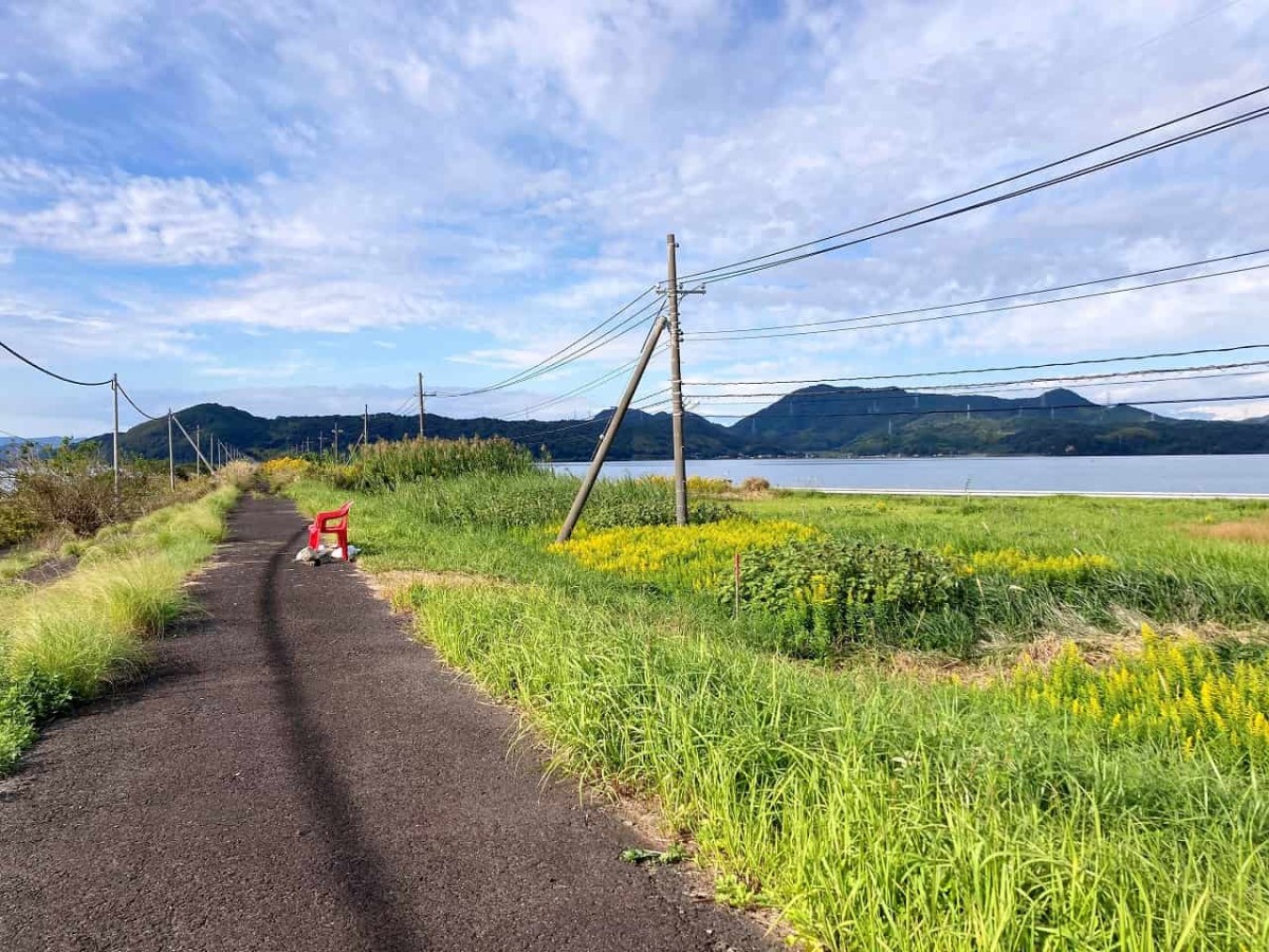 島根県松江市_大根島_中海_景色_撮影スポット