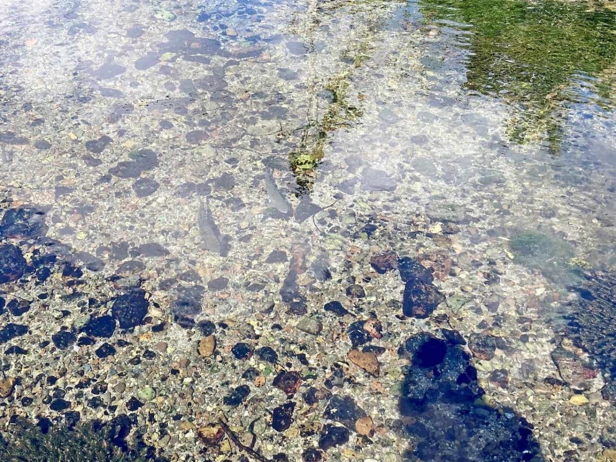 鳥取県米子市_本宮の泉_名水_因伯の名水_オススメ_人気_大山_