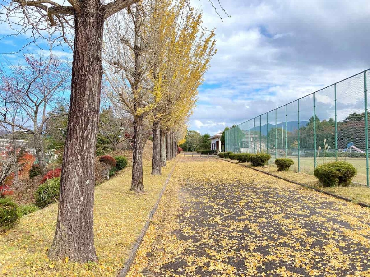 島根県奥出雲町_横田公園_公園_子連れ_ランニング_ウォーキング_紅葉