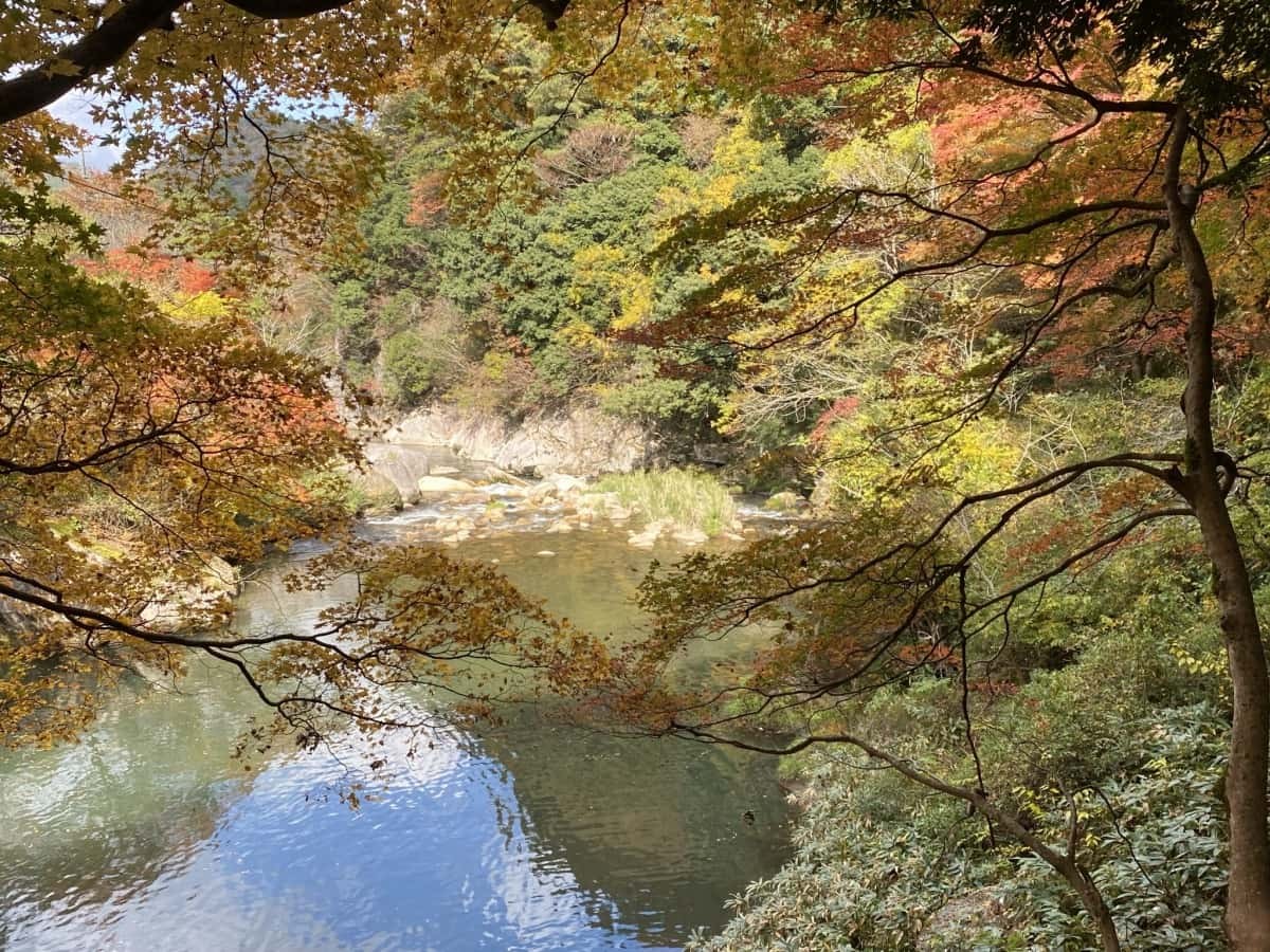 鳥取県日南町_紅葉_おすすめ_穴場_石霞渓_見ごろ_時期_駐車場