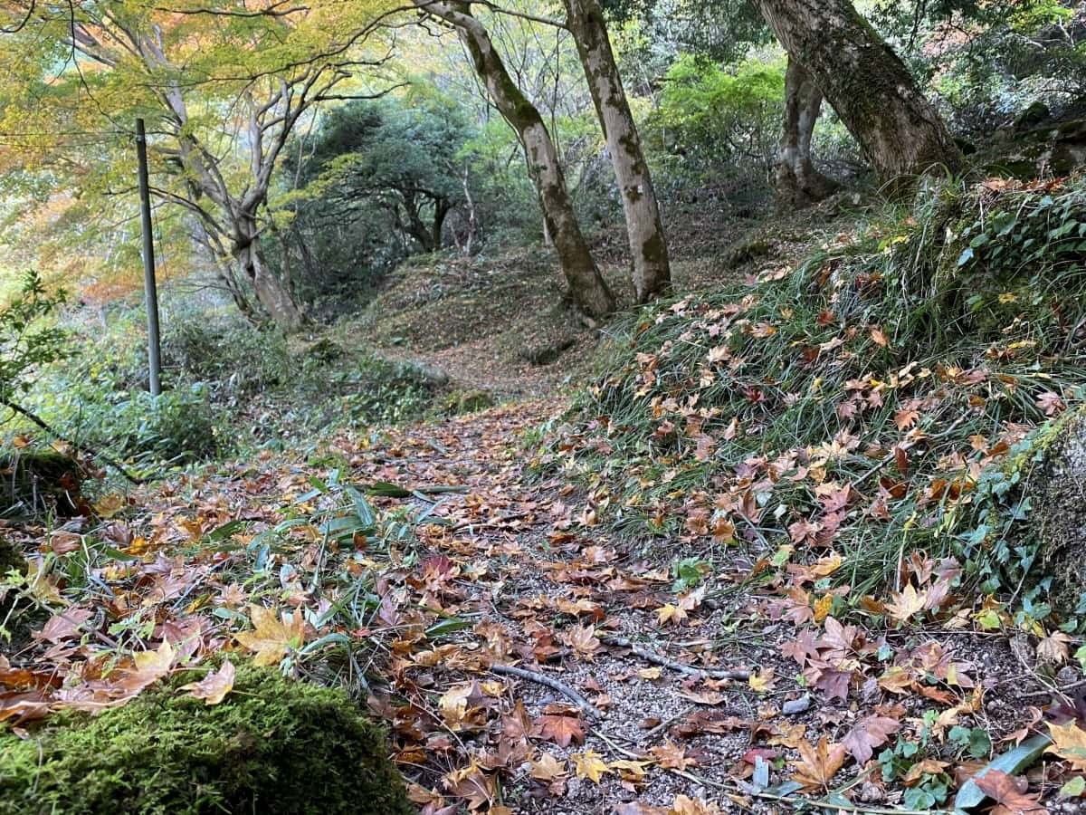 鳥取県日南町_紅葉_おすすめ_穴場_石霞渓_見ごろ_時期_駐車場