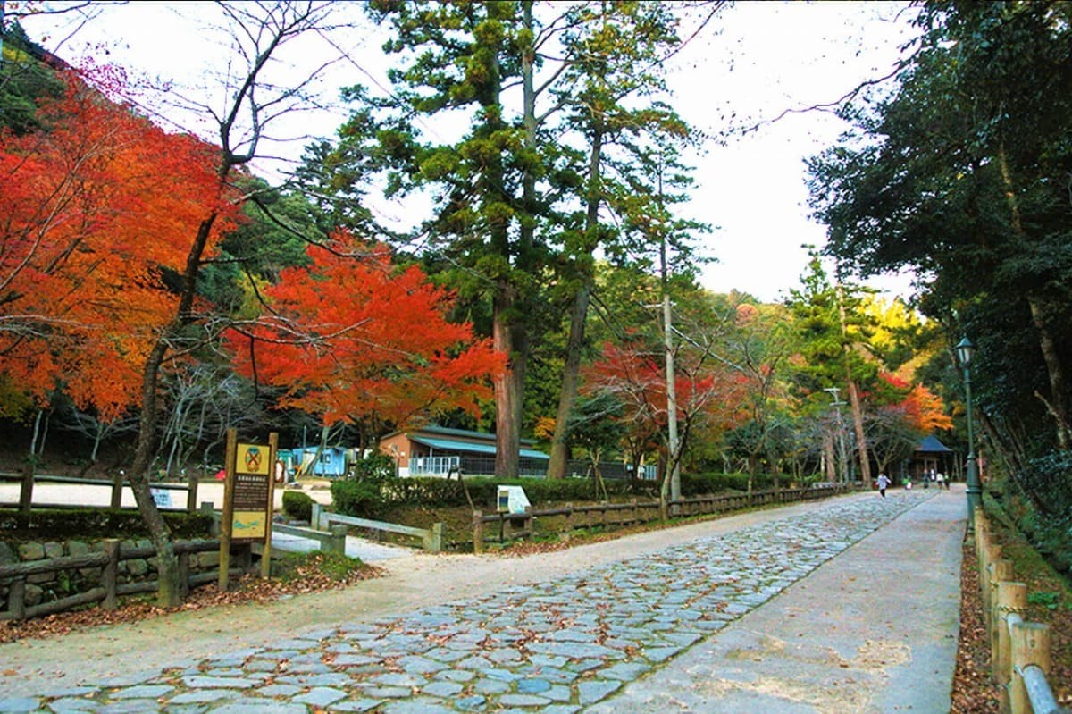 鳥取県_紅葉_名所_難読