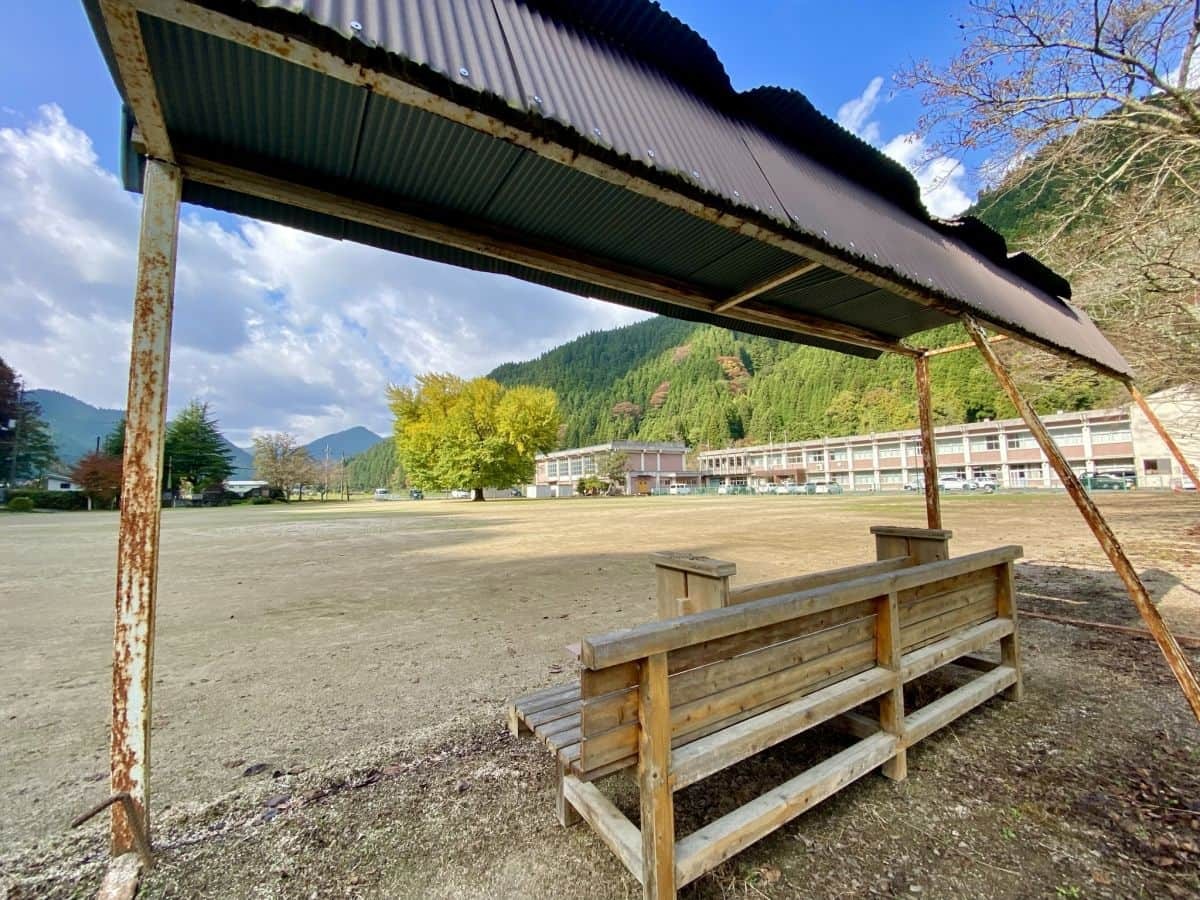 鳥取県日南町_紅葉_名所_穴場_旧日野上小学校の大銀杏_駐車場_見ごろ