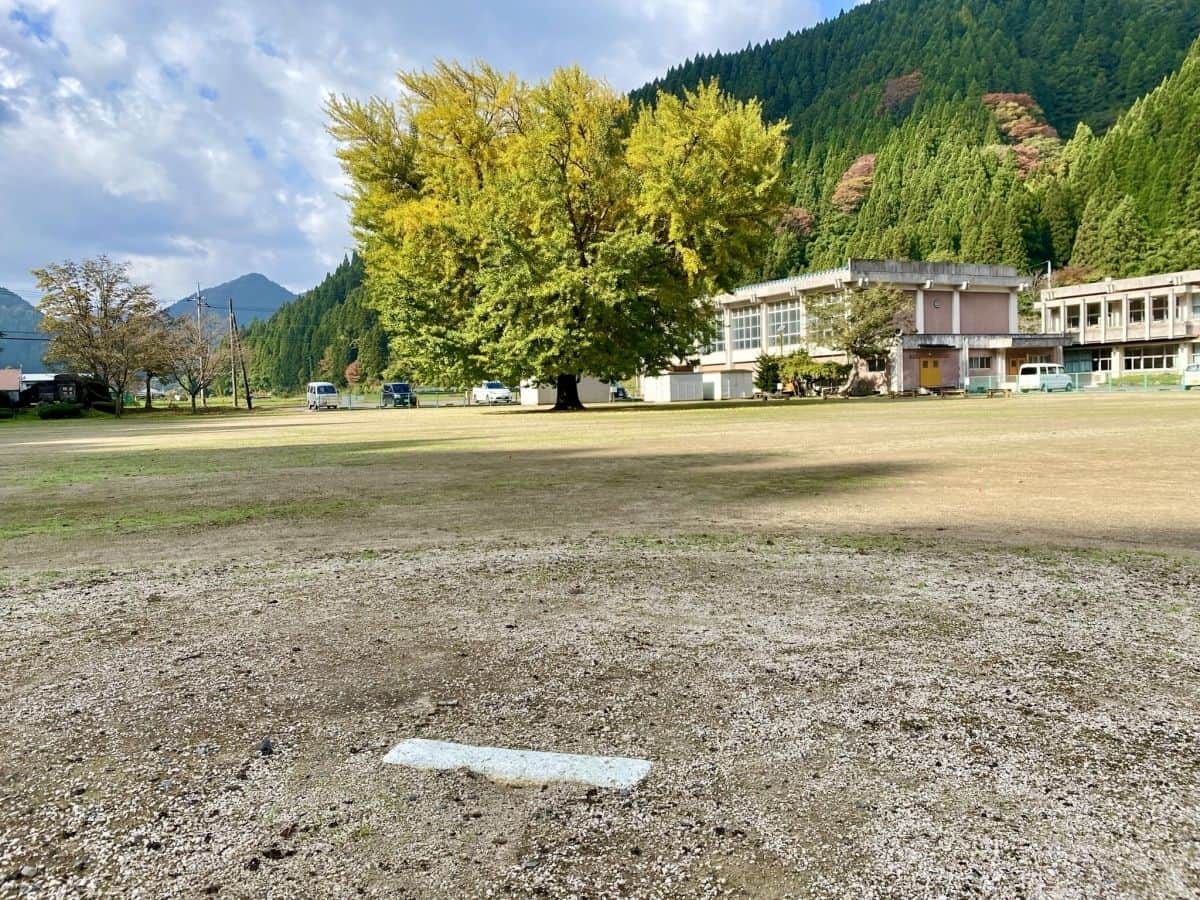 鳥取県日南町_紅葉_名所_穴場_旧日野上小学校の大銀杏_駐車場_見ごろ