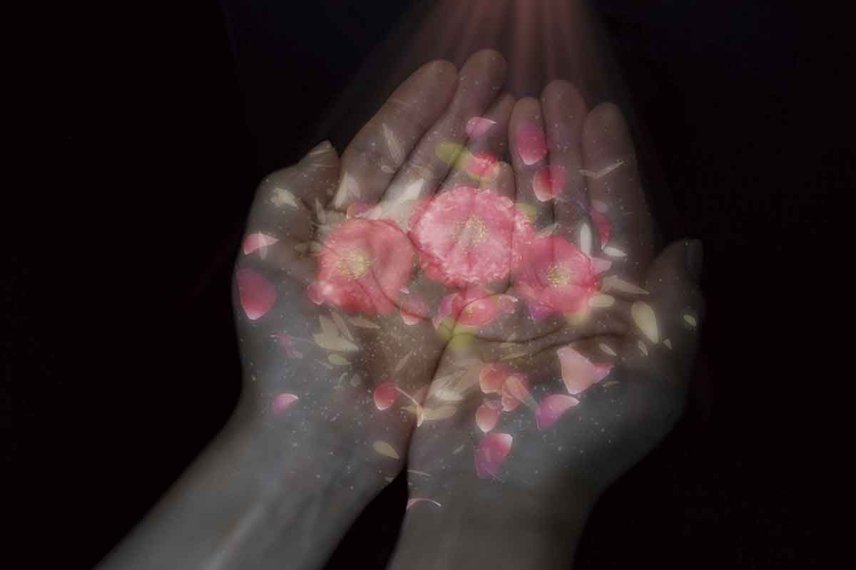 20211108おでかけマンスリー高知08