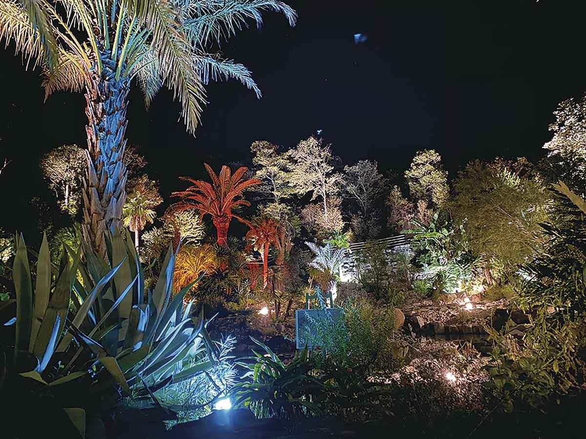 20211108おでかけマンスリー高知11