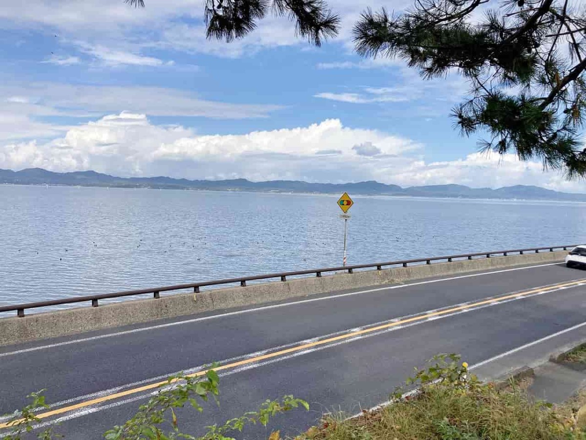 島根県松江市_亀島児童公園_公園_おでかけ_子連れ_亀島神社_宍道湖_眺め