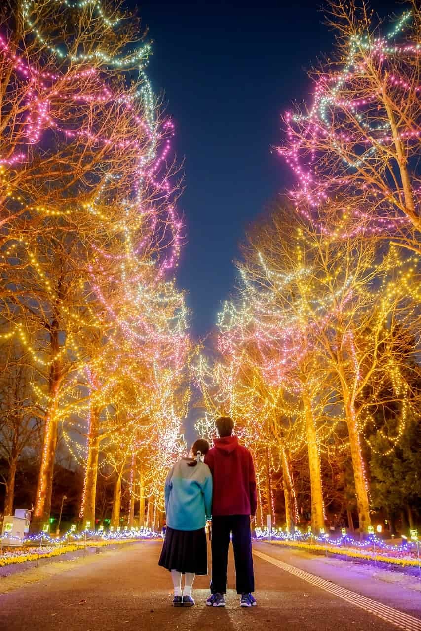 鳥取県西伯郡_とっとり花回廊_イルミネーション_冬_イベント_年末年始_お出かけ_