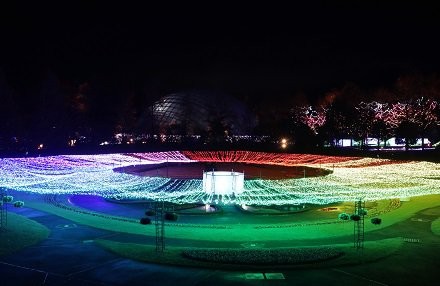 鳥取県西伯郡_とっとり花回廊_イルミネーション_冬_イベント_年末年始_お出かけ_