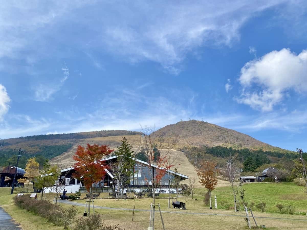 島根県大田市_三瓶山_ススキ_見ごろ_駐車場_季節_観光_穴場