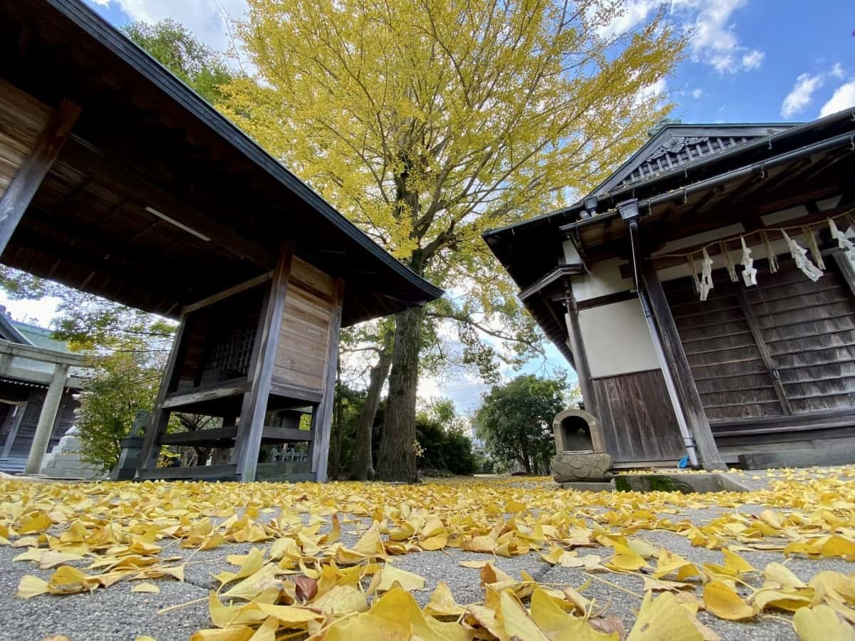 鳥取県境港市_観光_穴場_大港神社_水木しげるロード