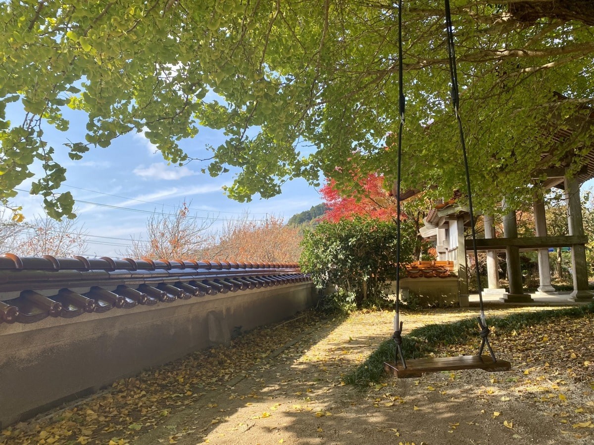 島根県大田市_紅葉_浄善寺_大イチョウ_見ごろの時期_駐車場_ライトアップ